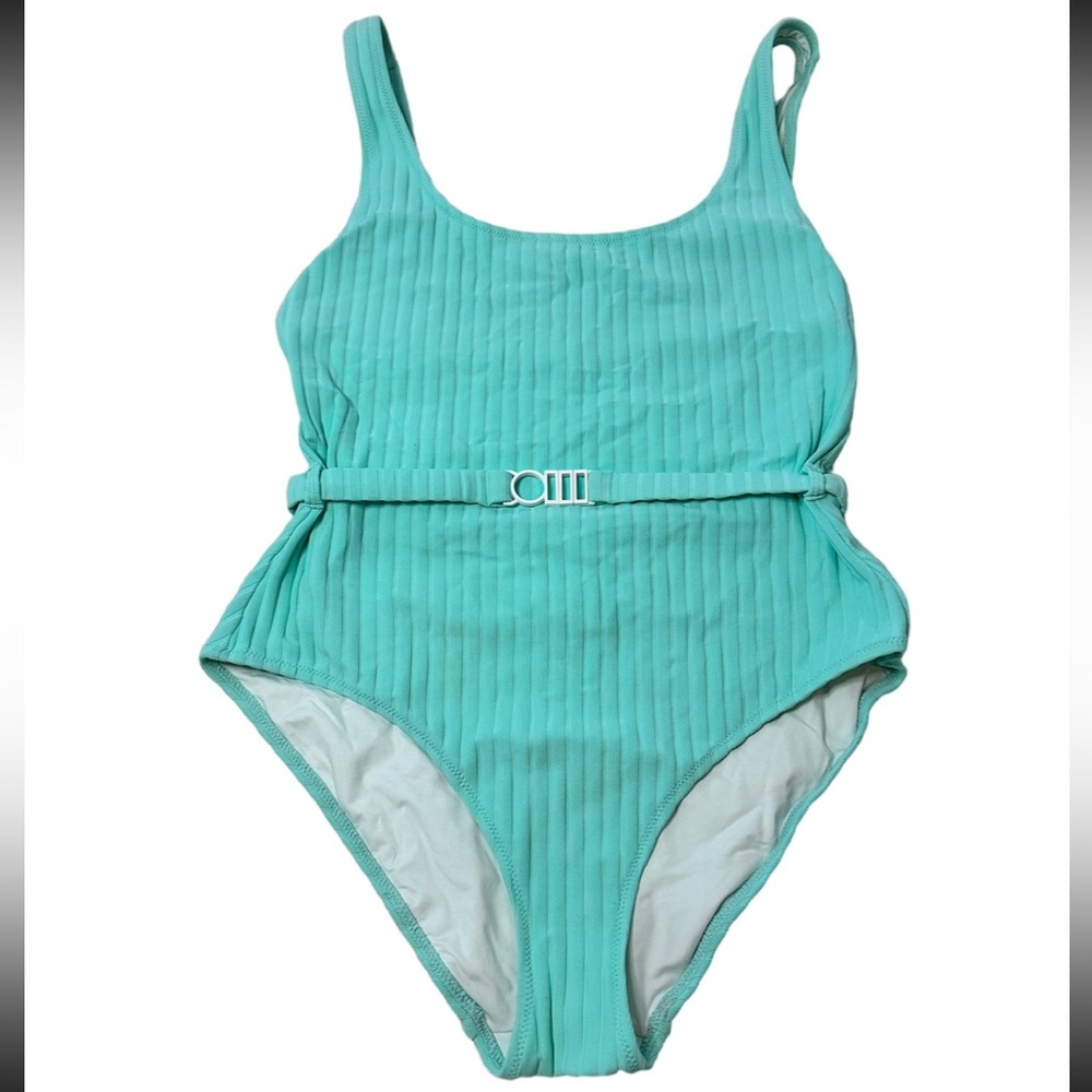 Solid & Striped Swimsuit